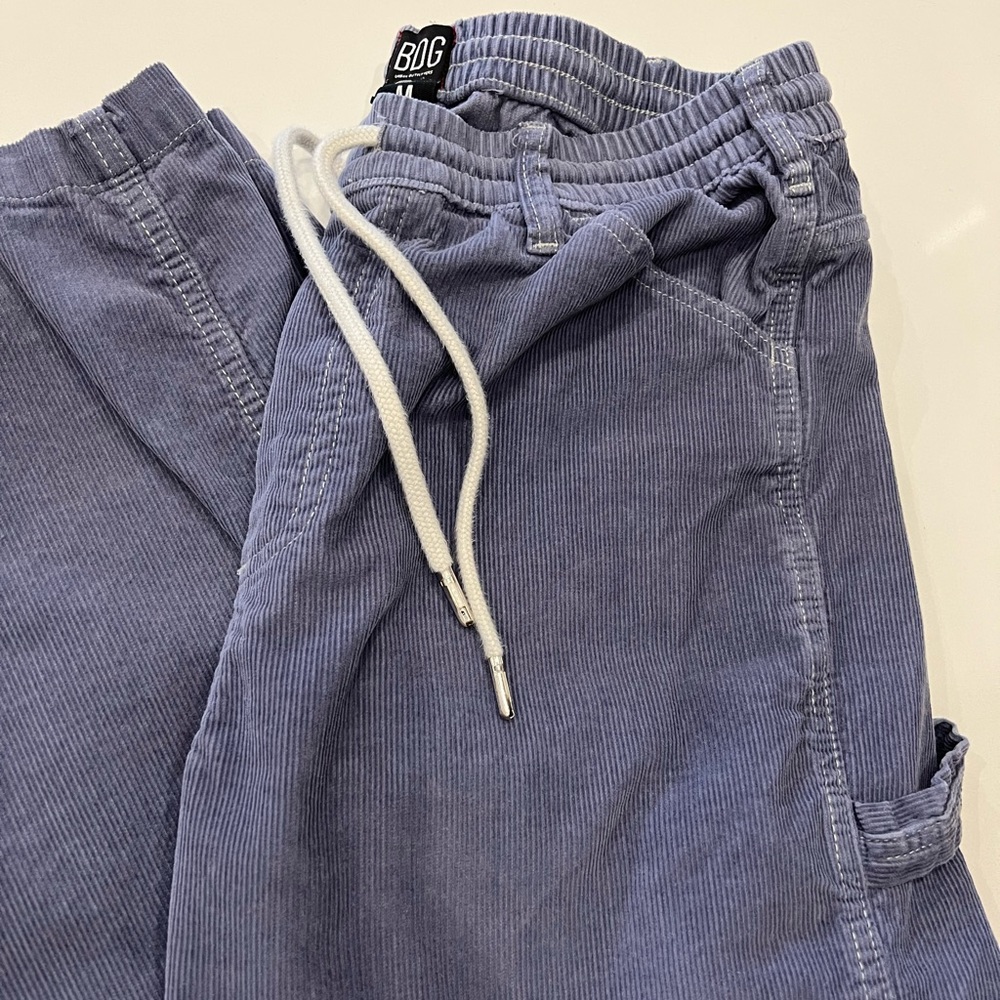 BDG Urban Outfitters Corduroy Pants